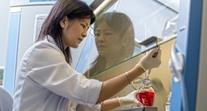 DSC_6485_smallsize_web