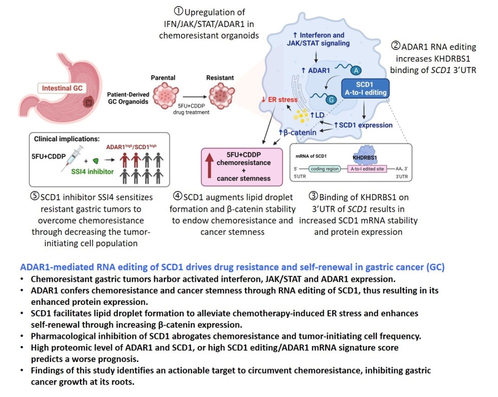 Our new publication in Nature Communications The SMA Lab